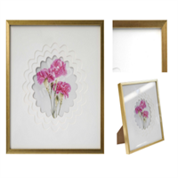 Photo frame  from MMCIS China